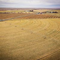 Hillrose Farm and Equine Ranch images 5