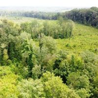 Tishomingo State Park Tract