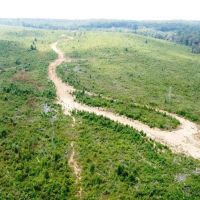 Tishomingo State Park Tract images 3