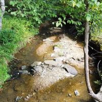Tishomingo State Park Tract images 4