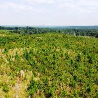 Tishomingo State Park Tract images 5