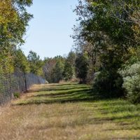 360 - Acres High Fence Land for Sale North Louisiana images 3