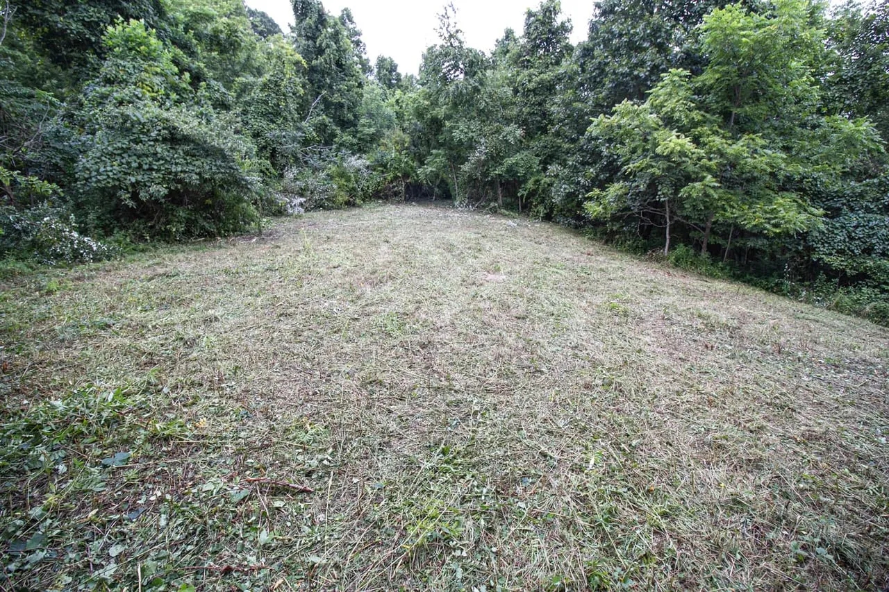 Union Hill Rd 38 acres Guernsey County Hunting Land for Sale