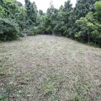 Union Hill Rd - 38 acres - Guernsey County images 2