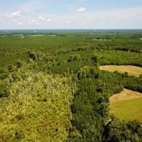 54 acres of Business Agricultural Land in Greensville County VA images 2