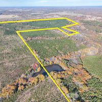 433 Acres CR 3201 Maya 1008 images 2