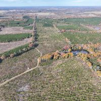 433 Acres CR 3201 Maya 1008 images 3