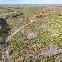 433 Acres CR 3201 Maya 1008 images 4