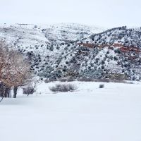 Loaded Elk Ranch images 5