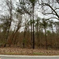 Posey Webb Camp Road - Tract C La Salle Parish 22.11 Acres - images 1
