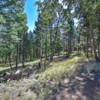 Home For Auction In Florissant Colorado images 2