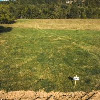 Piney Valley Estates-Tract 9 images 2