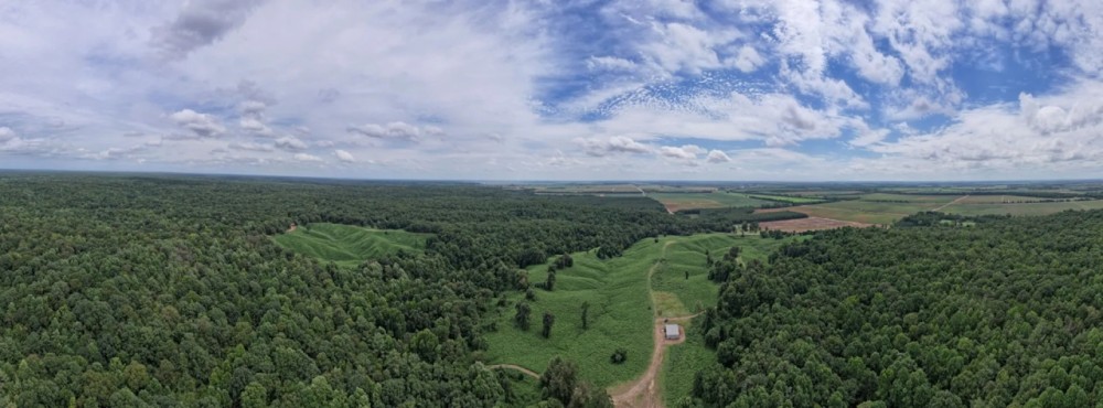 192.33 Acres in Panola County in Crenshaw MS featured image