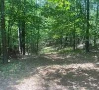 192.33 Acres in Panola County in Crenshaw MS images 4
