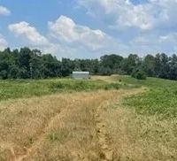 192.33 Acres in Panola County in Crenshaw MS images 5