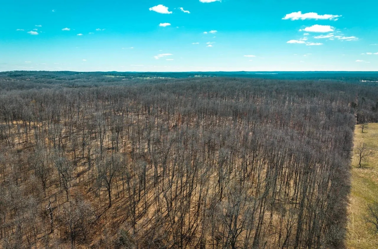 Booker Pond Hunting Land for Sale