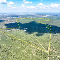 913 Acres FM 247 T-10