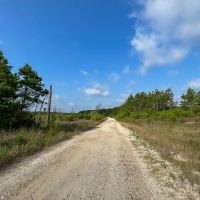 913 Acres FM 247 T-10 images 2