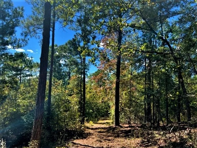 29-103-tumkeehatchee-creek-farm featured image