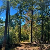 29-103-tumkeehatchee-creek-farm