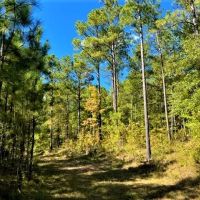 29-103-tumkeehatchee-creek-farm images 2