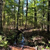 29-103-tumkeehatchee-creek-farm images 3