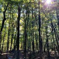 29-103-tumkeehatchee-creek-farm images 5
