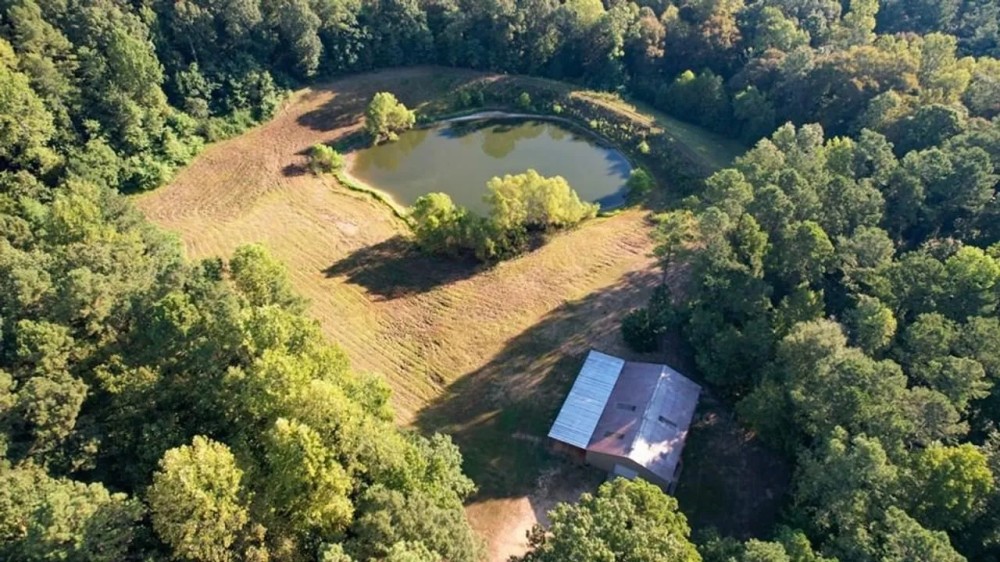 381 Acres Hunting Land for Sale in Natchez MS Hunting Land for Sale