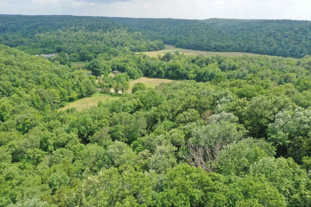 415.7 Acres in Perry County for Sale featured image