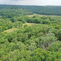 415.7 Acres in Perry County for Sale