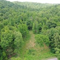 415.7 Acres in Perry County for Sale images 2