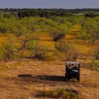 Rustling Oaks Ranch images 2