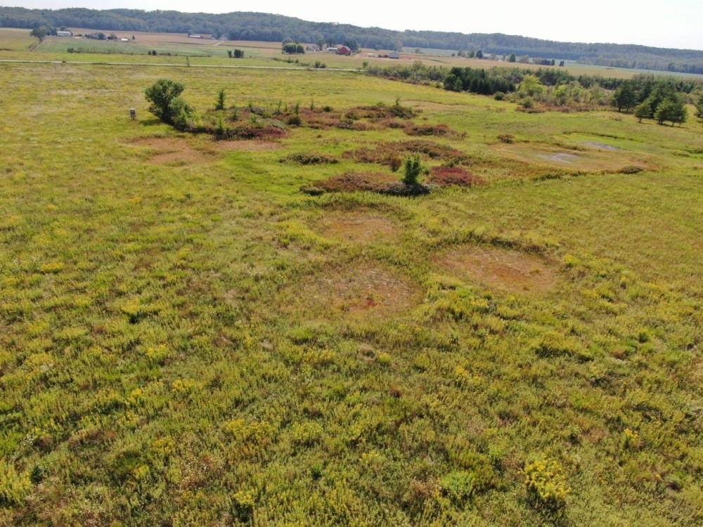 Juneau County WI 77 acres of developed WRP Land featured image