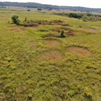 Juneau County WI 77 acres of developed WRP Land