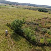 Juneau County WI 77 acres of developed WRP Land images 3