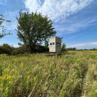 Juneau County WI 77 acres of developed WRP Land images 4