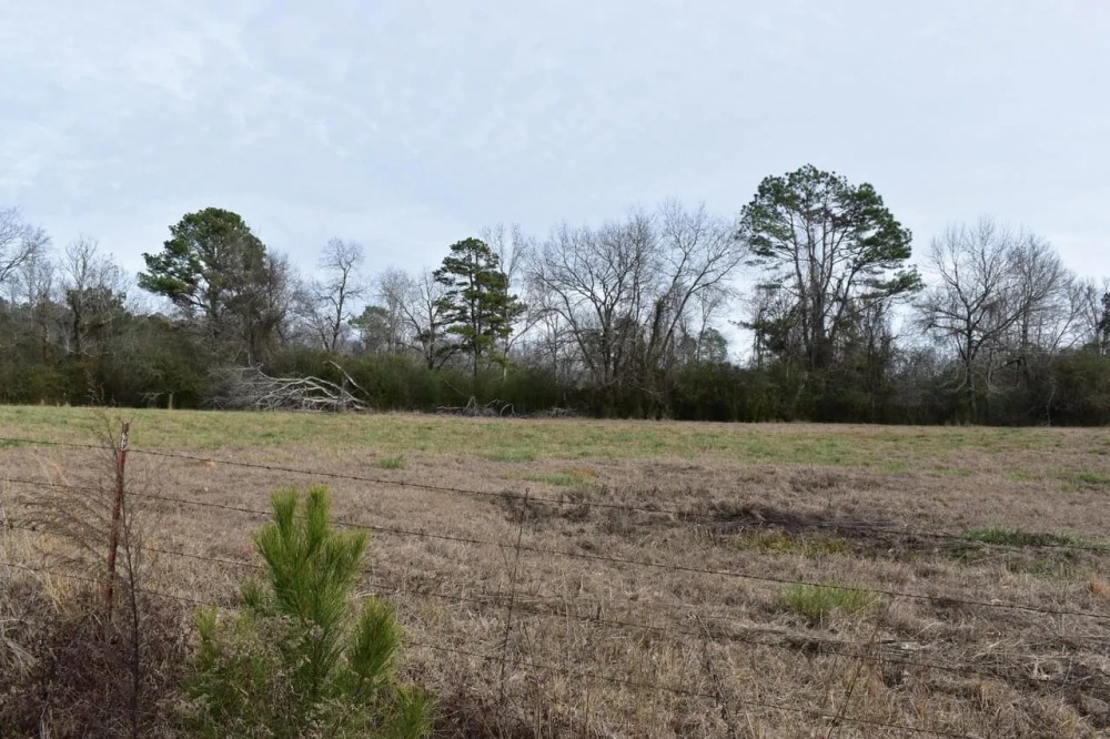Wolf Creek Farm Lots featured image