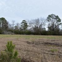 Wolf Creek Farm Lots
