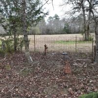 Wolf Creek Farm Lots images 2