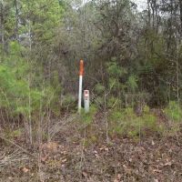 Wolf Creek Farm Lots images 3