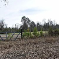 Wolf Creek Farm Lots images 5