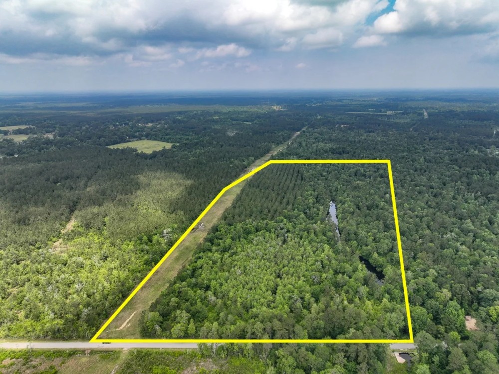 55 Acres Cravens Camp Rd. D-3 Silsbee Stake featured image
