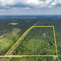 55 Acres Cravens Camp Rd. D-3 Silsbee Stake