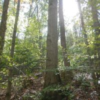 Richford Relaxation images 5