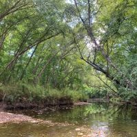 588 Acres The Game Preserve