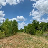 588 Acres The Game Preserve images 3