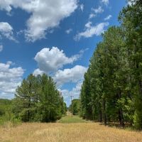 588 Acres The Game Preserve images 4