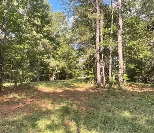 19.8 Acres with a Cabin in Copiah County in Hazlehurst MS featured image