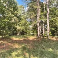 19.8 Acres with a Cabin in Copiah County in Hazlehurst MS