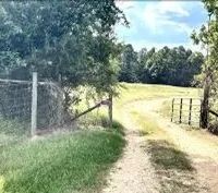 19.8 Acres with a Cabin in Copiah County in Hazlehurst MS images 3